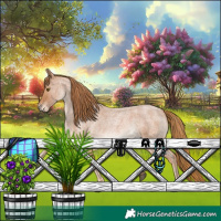 Horse Color:Red Roan 