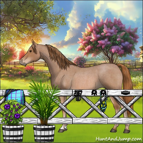 Horse Color:Red Roan