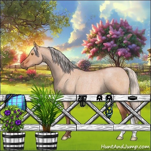 Horse Color:Silver Bay Roan Dun