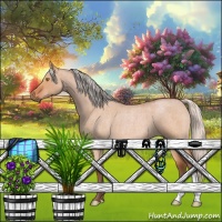 Horse Color:Silver Bay Roan Dun 