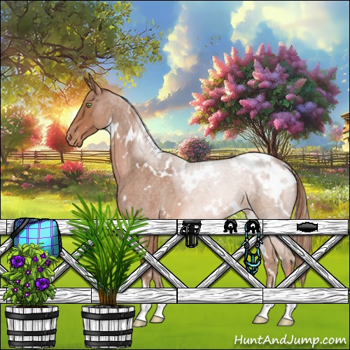 Horse Color:White Spotted Red Roan Blanket