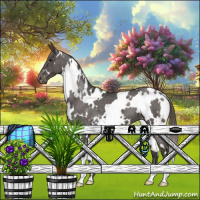 Horse Color:White Spotted Smoky Grullo Varnish Brindle