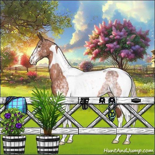 Horse Color:White Spotted Silver Bay Tobiano