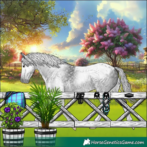 Horse Color:Gray Black Tobiano Rabicano 