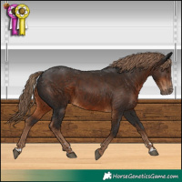 Horse Color:Gray Liver Chestnut Varnish 
