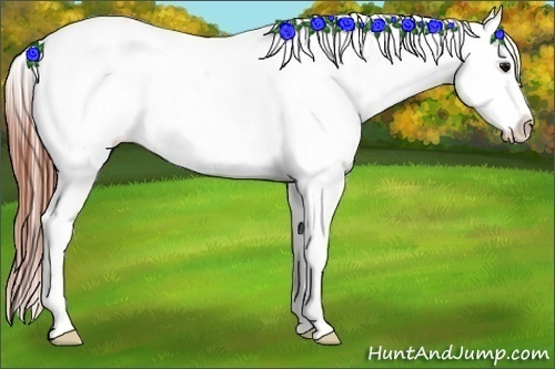 Horse Color:Grullo Varnish Rabicano 