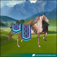 Horse Color:Gray White Spotted Gold Champagne Appaloosa 