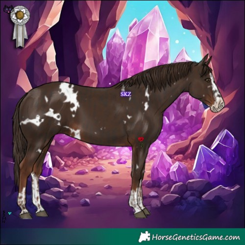 Horse Color:White Spotted Liver Chestnut  and White Spotted Liver Chestnut Splash 