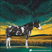 Horse Color:White Spotted Liver Chestnut Splash 