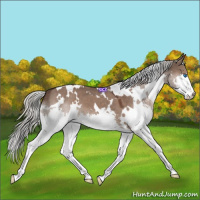 Horse Color:White Spotted Silver Grullo Splash 