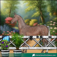 Horse Color:Silver Brown Ice