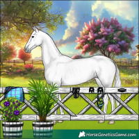Horse Color:Gray Silver Black Ice 