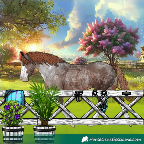 Horse Color:Liver Chestnut Ice Rabicano