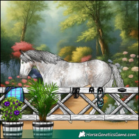 Horse Color:Gray Buckskin Sabino Rabicano