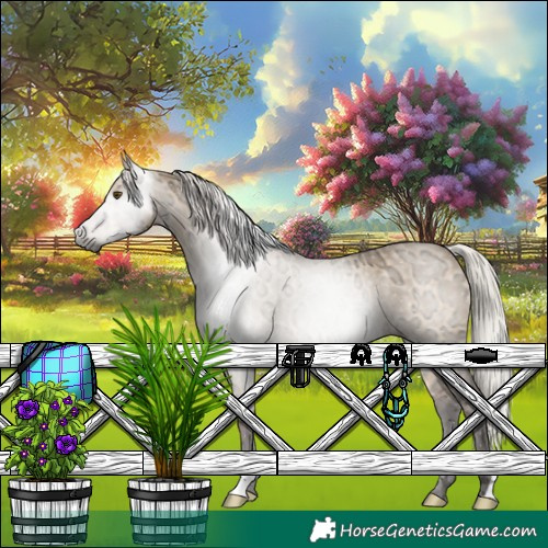 Horse Color:Gray Silver Bay Ice Dun 