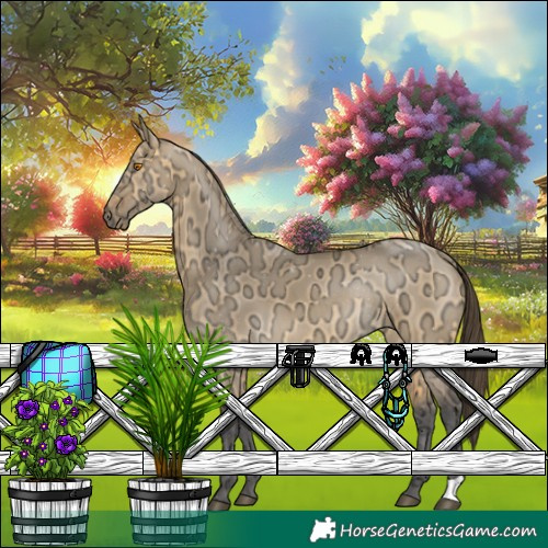 Horse Color:Buckskin Ice Dun Rabicano 