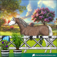 Horse Color:Silver Bay Ice Splash 