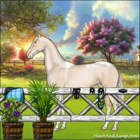 Horse Color:Palomino Pearl Sabino Tobiano Appaloosa 