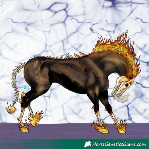 Horse Color:Void Liver Red Dun Splash Appaloosa 