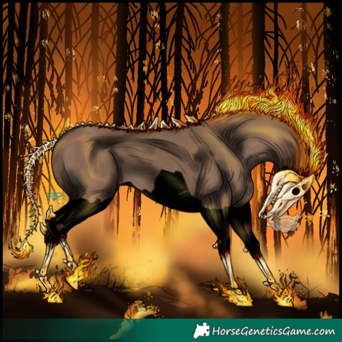 Horse Color:Void Liver Red Dun Splash 