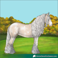 Horse Color:White Spotted Silver Smoky Creme 