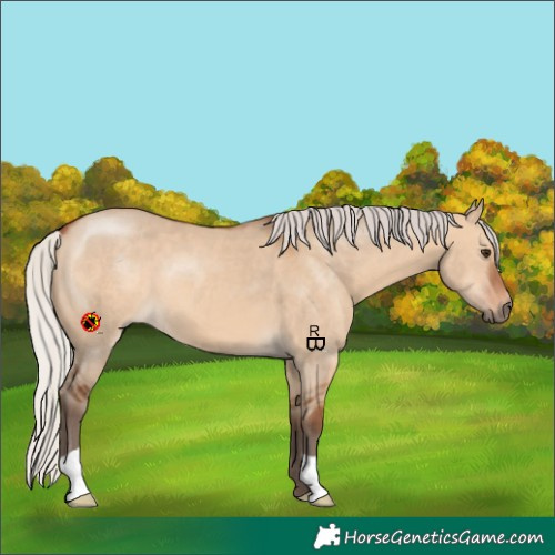 Horse Color:Silver Bay Dun