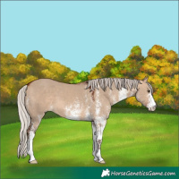 Horse Color:White Spotted Silver Brown Dun