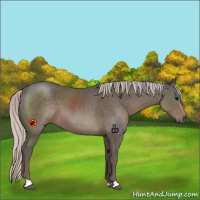 Horse Color:Silver Black 