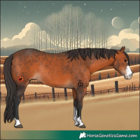 Horse Color:Bay Sabino Rabicano 