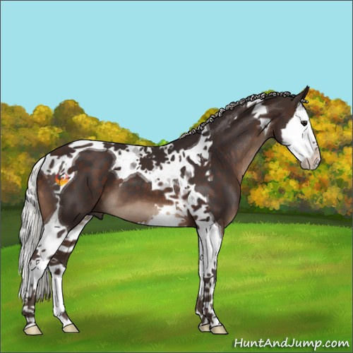Horse Color:Silver Brown Splash Tobiano 