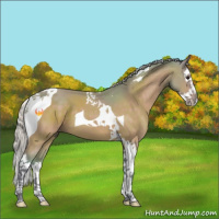 Horse Color:Watercolor Silver Bay Splash Tobiano 
