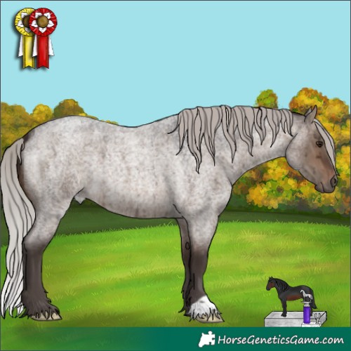 Horse Color:Silver Brown Roan Dun Brindle 