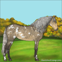 Horse Color:White Spotted Silver Smoky Grullo Mushroom 