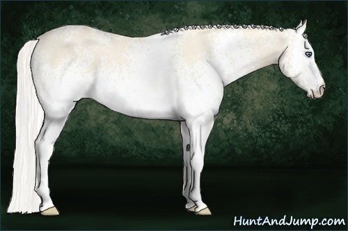 Horse Color:White Spotted Silver Perlino Dun 