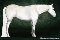 Horse Color:White Spotted Silver Perlino Dun 