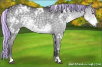 Horse Color:Painted White Spotted Silver Smoky Grullo Chinchilla Rabicano 