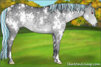 Horse Color:Painted White Spotted Silver Grullo Chinchilla 