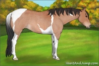 Horse Color:Bay Roan Tobiano