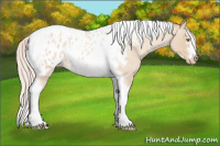 Horse Color:Silver Classic Champagne Roan Dun Splash Tobiano Frame Appaloosa Rabicano 