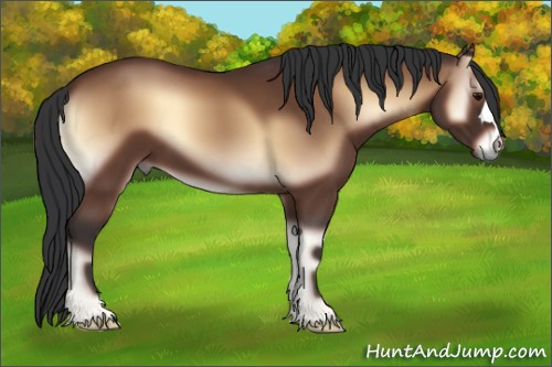 Horse Color:Brown Onyx 