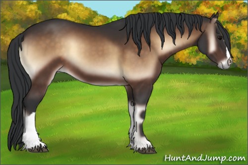 Horse Color:Brown Onyx 