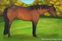 Horse Color:Brown 