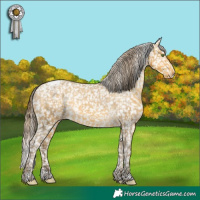 Horse Color:Sable Cream Champagne Snowcap 