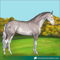 Horse Color:Platinum Chocolate Silver Buckskin Dun Splash 