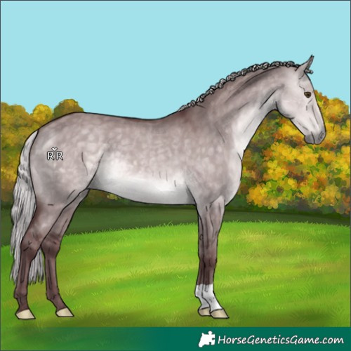 Horse Color:Platinum Chocolate Silver Buckskin Dun 
