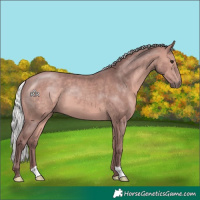 Horse Color:Platinum Chocolate Silver Bay 