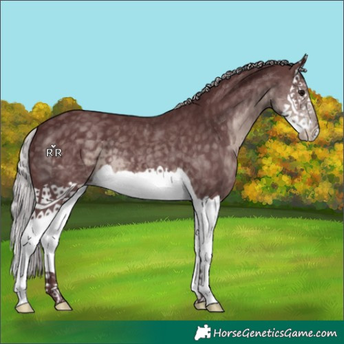 Horse Color:Platinum Chocolate Silver Smoky Black Splash 