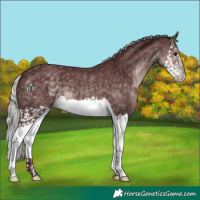 Horse Color:Platinum Chocolate Silver Smoky Black Splash