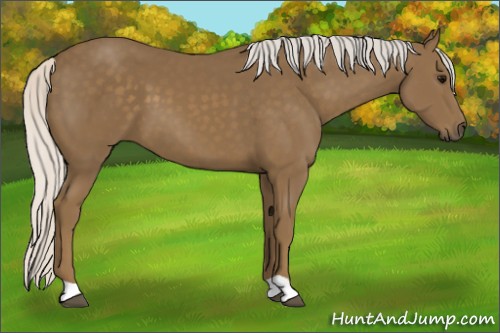 Horse Color:Silver Smoky Black 