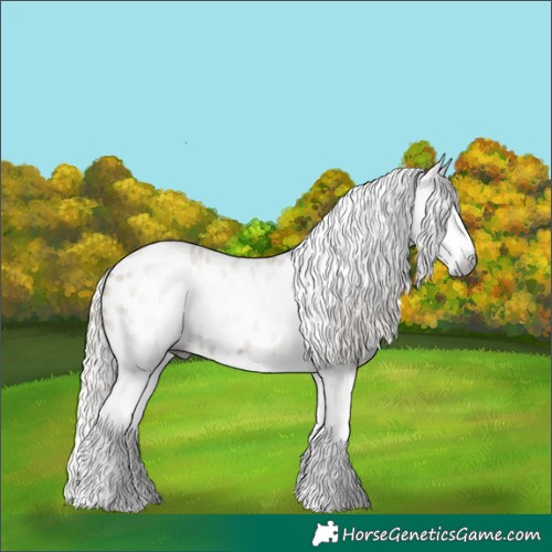Horse Color:Gray Silver Smoky Grullo Roan Splash Appaloosa 